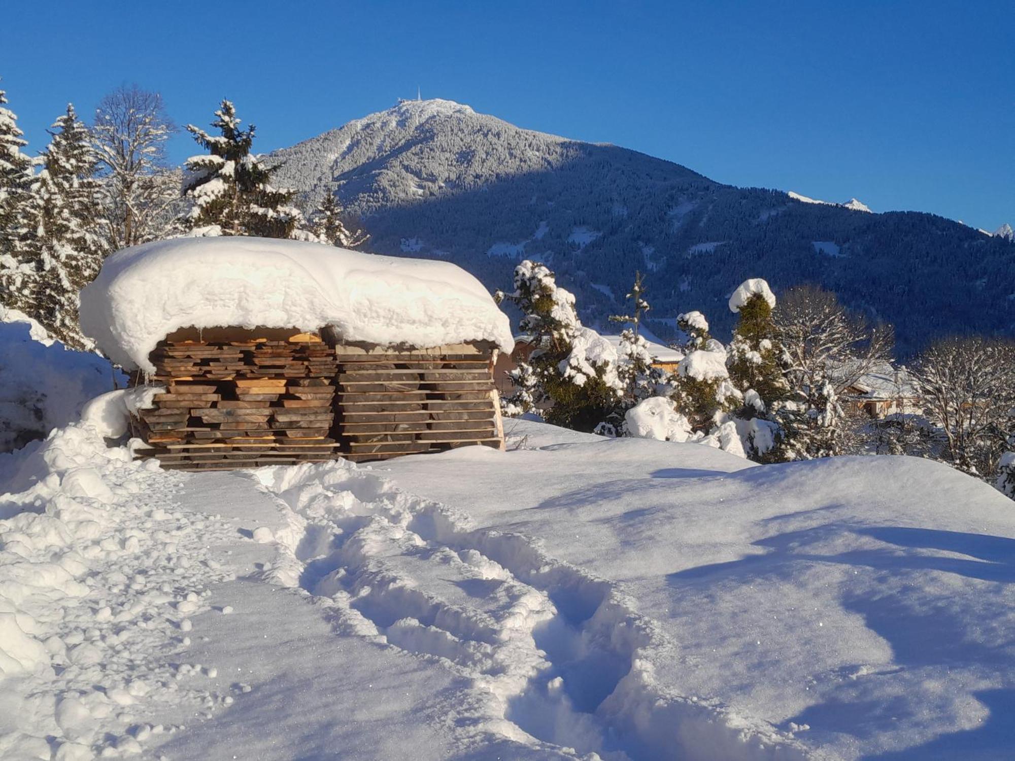 Haus Hotz Apart Talblick Grins Exterior foto